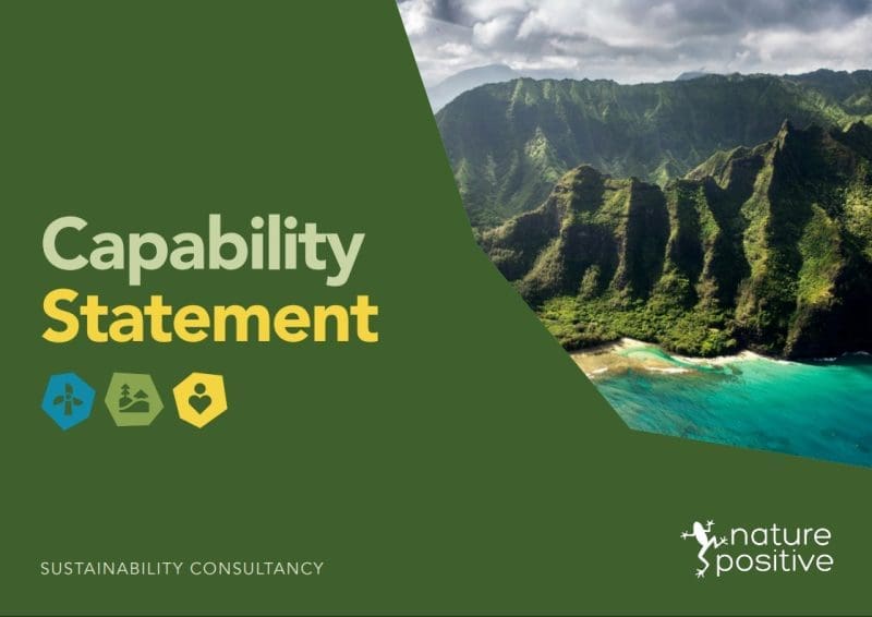 Capability Statement Cover