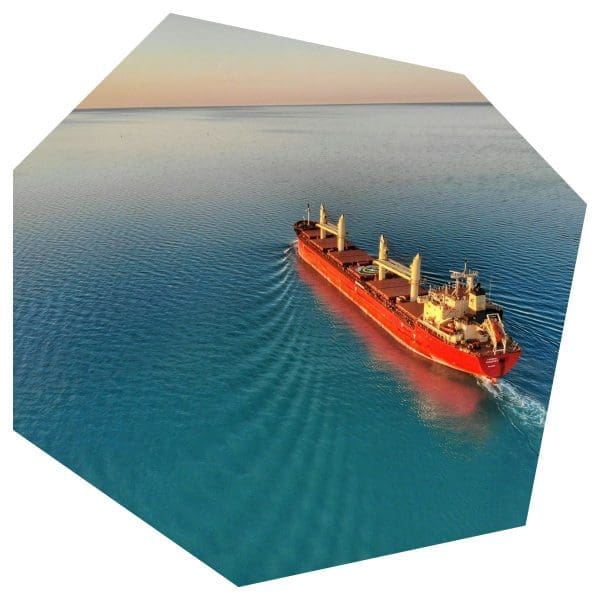 Shipping